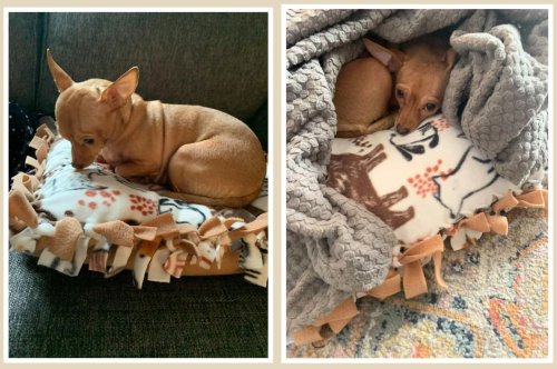 Photo post from niftygiftynorfolk.