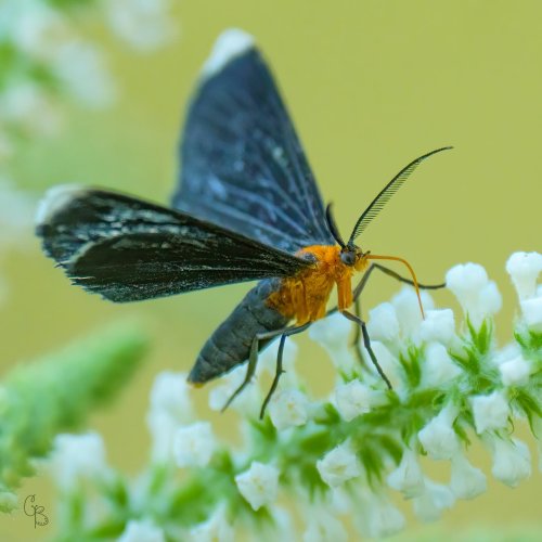 Carousel post from texas_pixels.