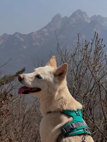 Carousel post from im_9reum.