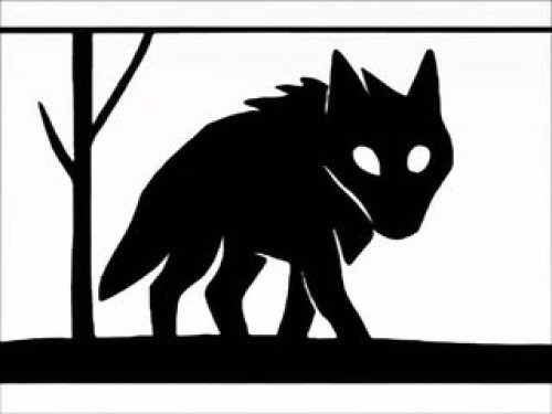 Video post from mellow.toad.