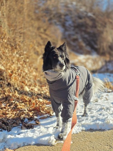 Carousel post from bbo_life_.