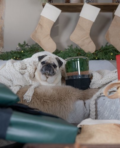 Photo post from briiv.natural.