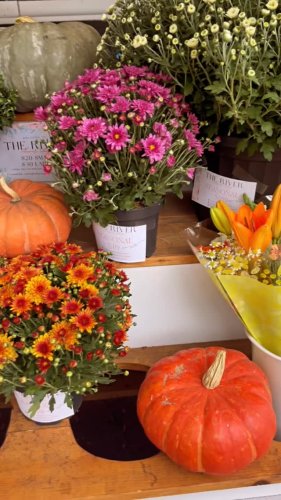 Video post from railandriverbistro.