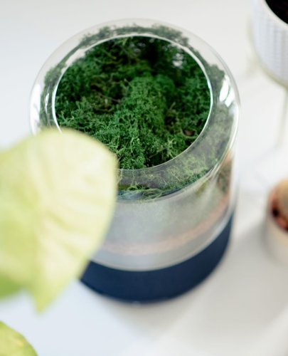 Carousel post from briiv.natural.