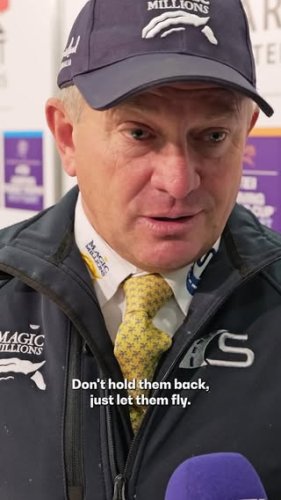 Video post from fei_global.