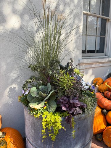 Photo post from gardenhousebrighton.