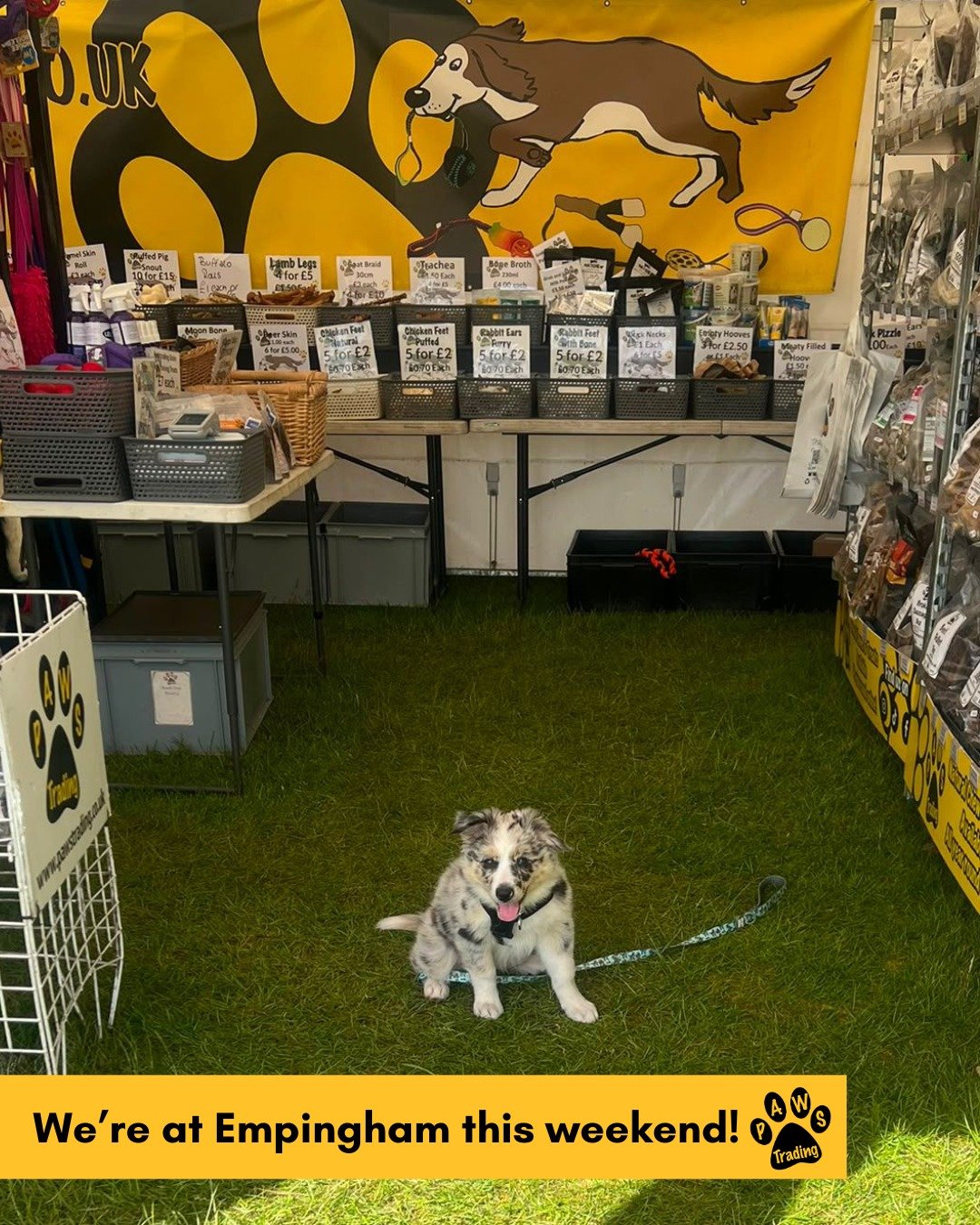 Photo post from pawstrading.