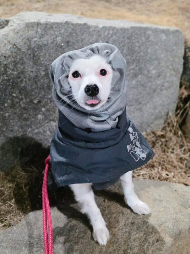 Carousel post from 2o_ozz.