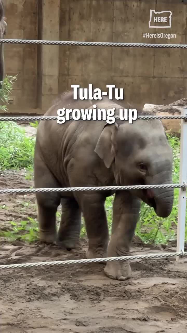 Video post from hereisoregon.