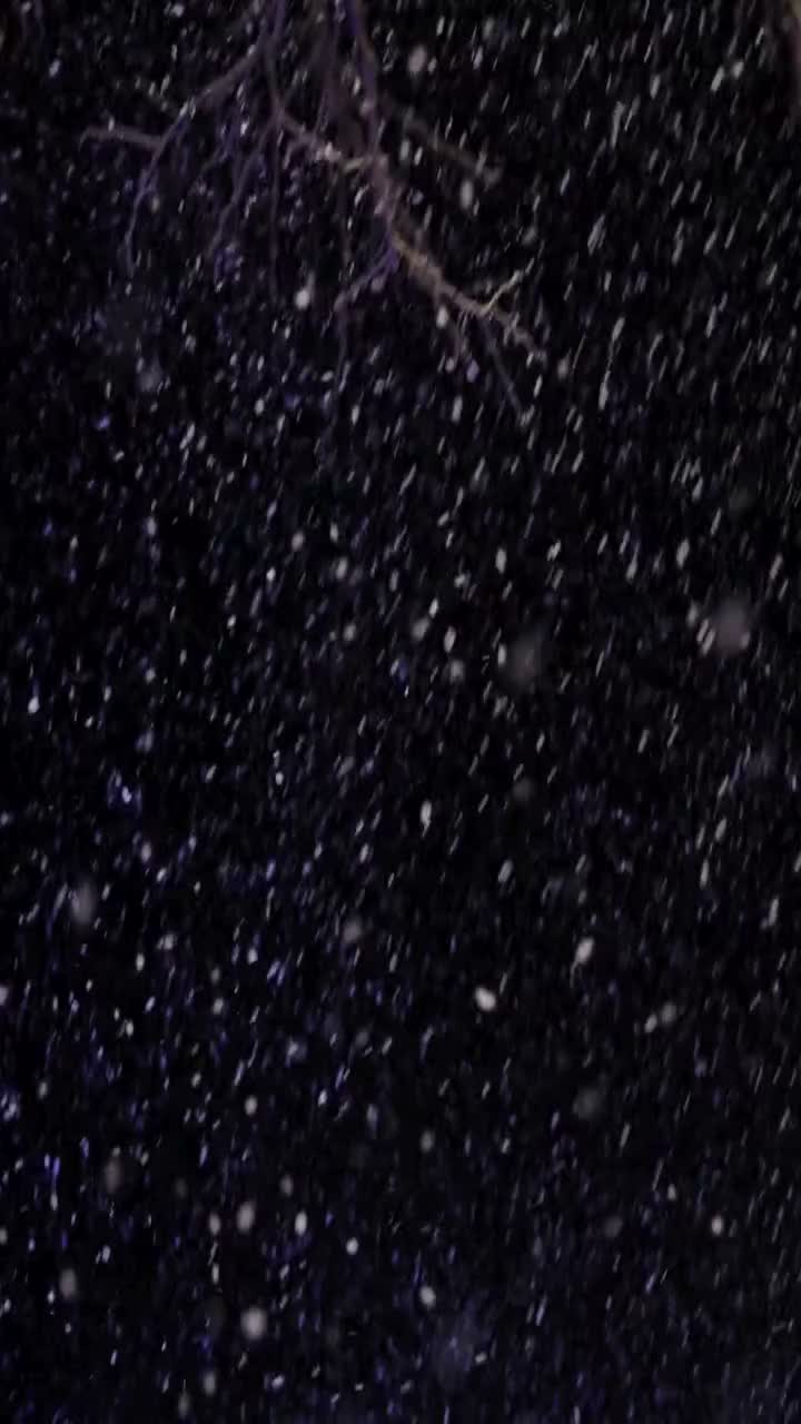 Video post from alburycity.