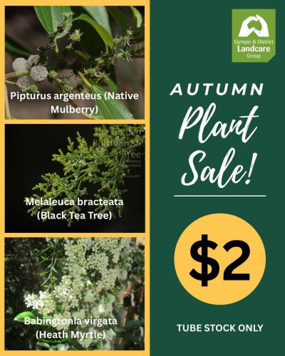 Photo post from gympielandcare.