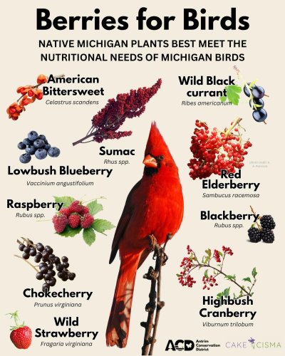 Photo post from antrimcd.