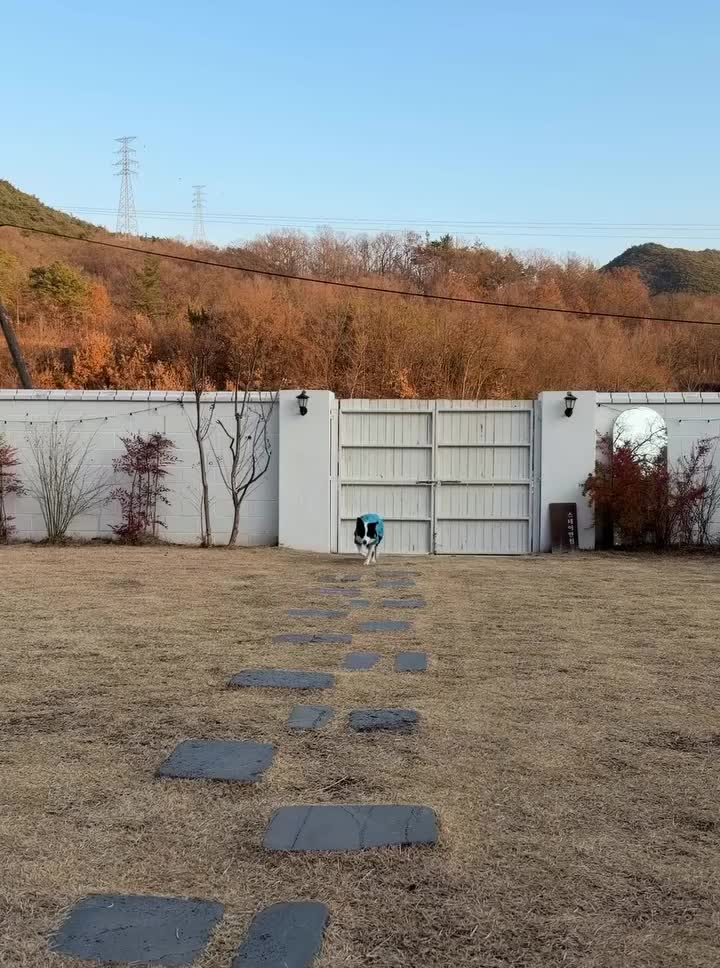 Carousel post from hurttakorea.