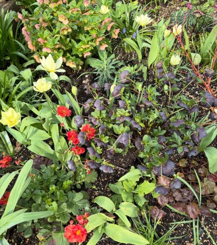 Photo post from gardenhousebrighton.