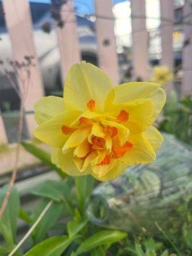 Carousel post from lucy_brewer.