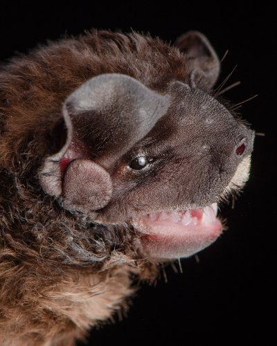 Photo post from josegabrielwildlife.