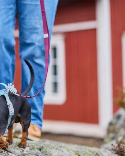 Photo post from hurttakorea.