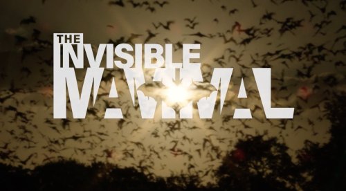 Photo post from north_american_land_trust.