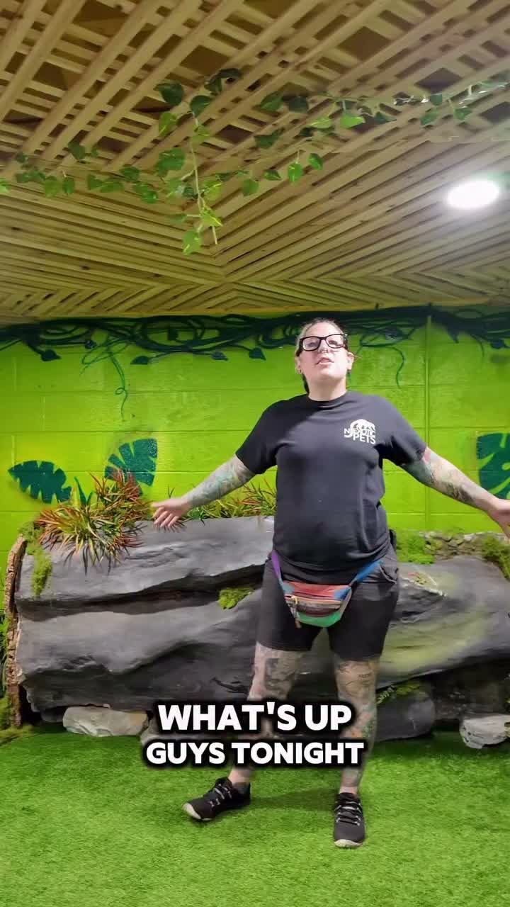 Video post from njexoticpets.