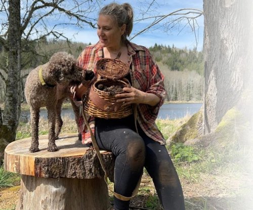 Photo post from theresortatportludlow.