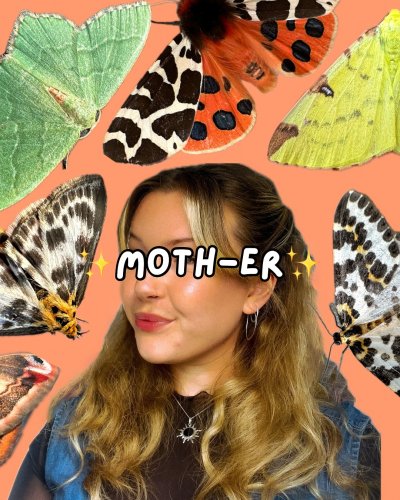 Carousel post from garden.of.moths.