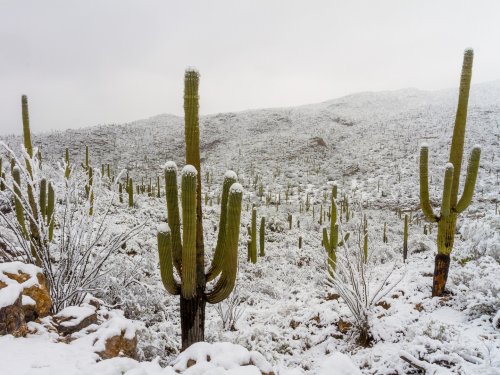 Photo post from visittucson.