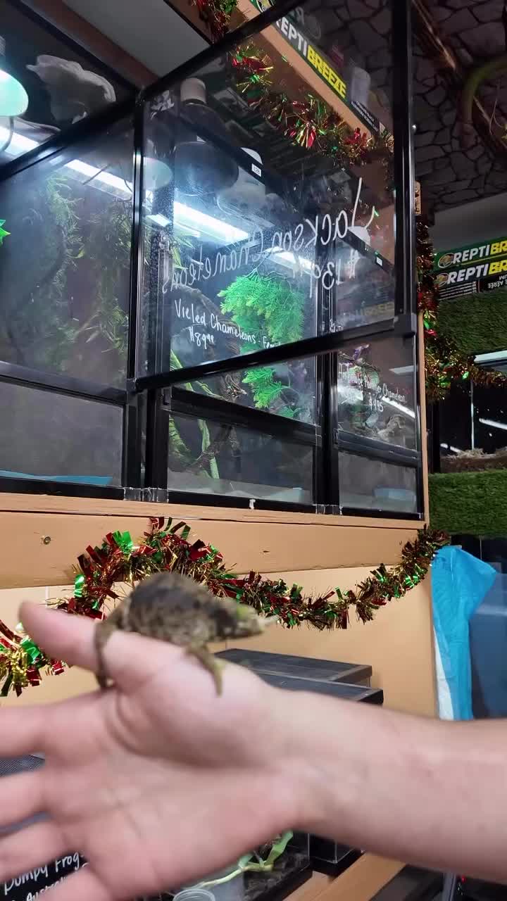 Video post from njexoticpets.