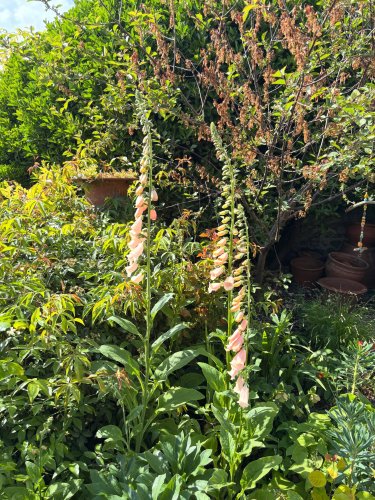 Photo post from gardenhousebrighton.