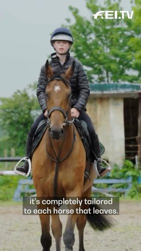 Video post from fei_global.