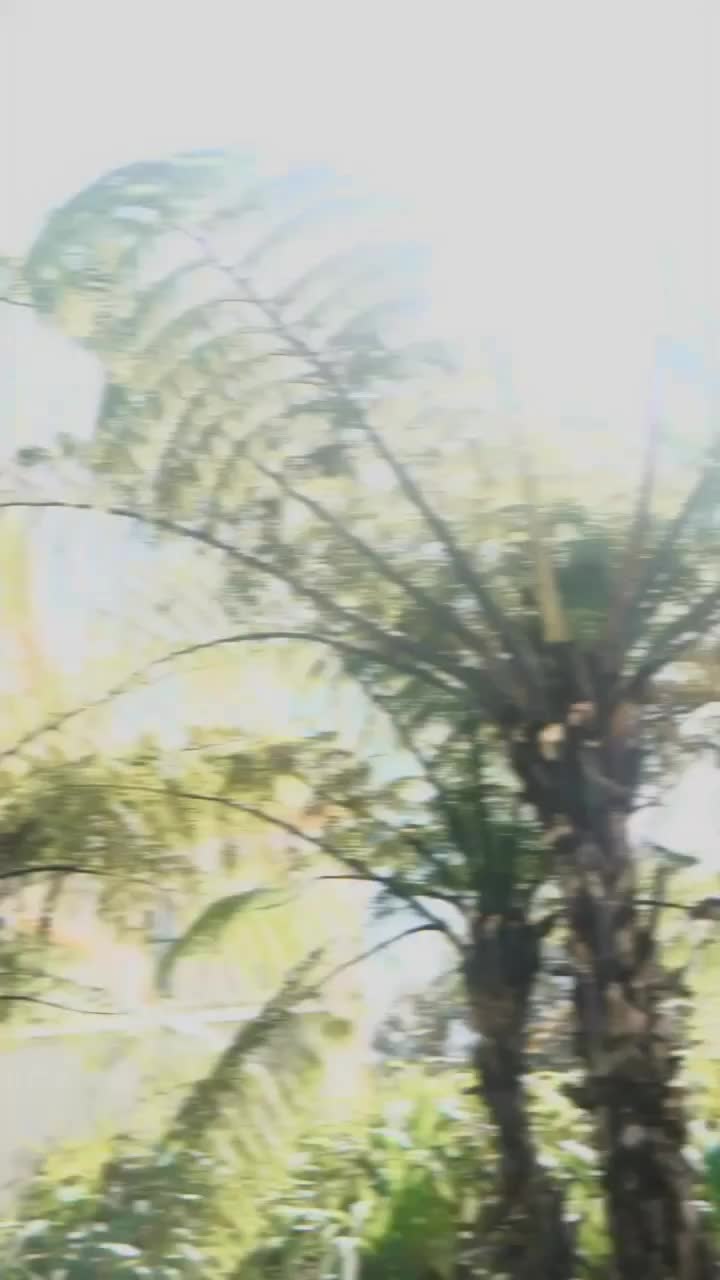 Video post from nzgreenparty.