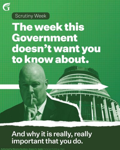 Carousel post from nzgreenparty.