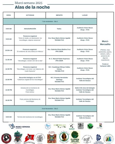 Photo post from alasdelanoche_.