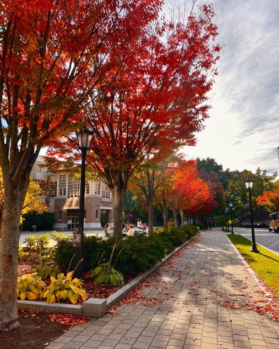 Photo post from bostoncollege.