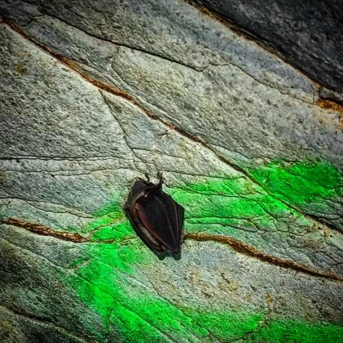 Photo post from peak_and_cave.