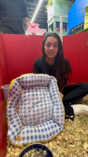 Video post from njexoticpets.