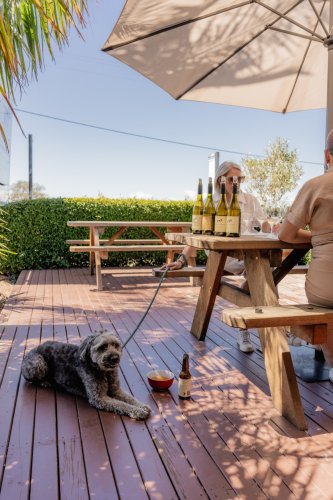 Photo post from gundogestate.