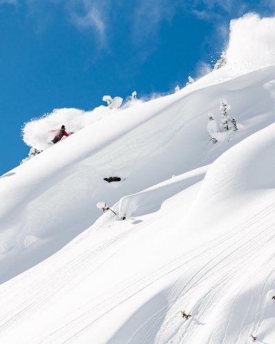 Carousel post from libtechnologies.