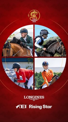 Video post from fei_global.