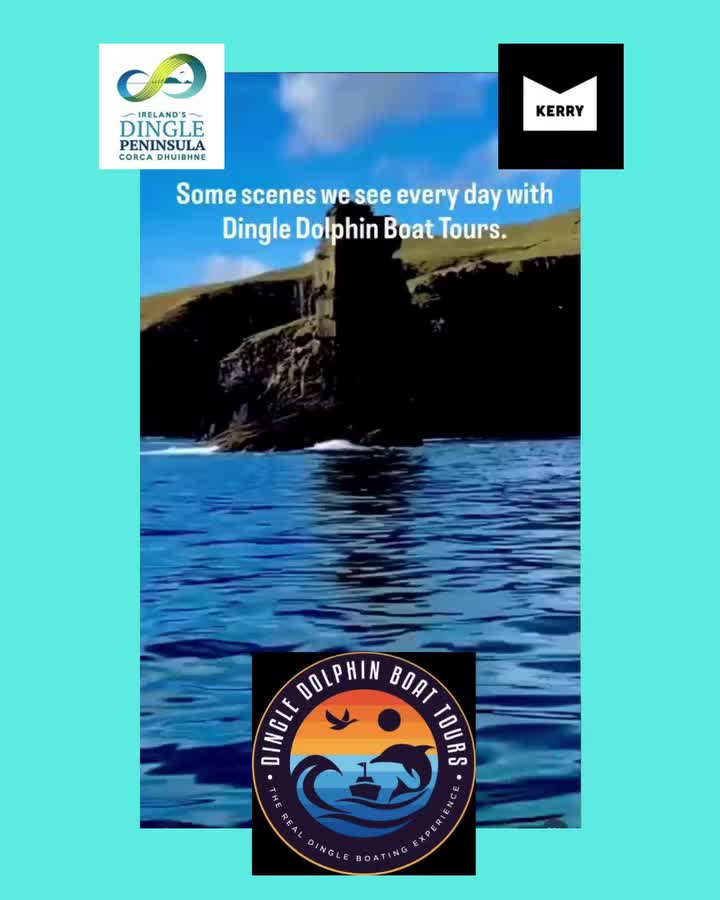 Video post from dinglepeninsulatourism.
