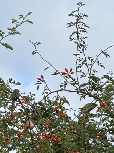 Photo post from gardenhousebrighton.
