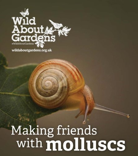 Photo post from gingerfieldscourses.