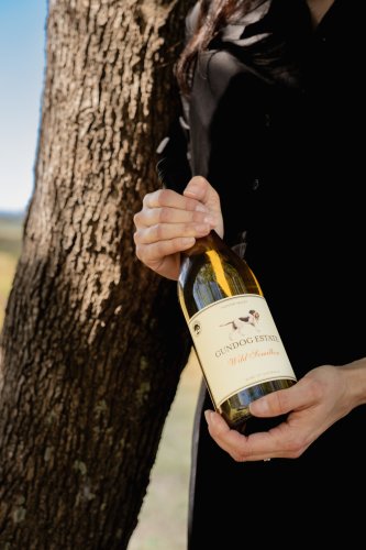 Photo post from gundogestate.