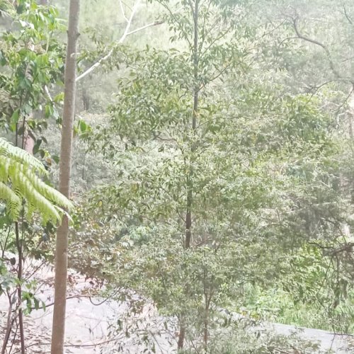 Photo post from visittorajautara.