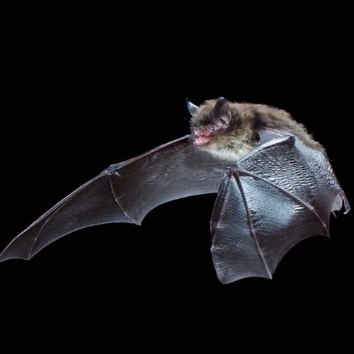 Carousel post from thetorontozoo.