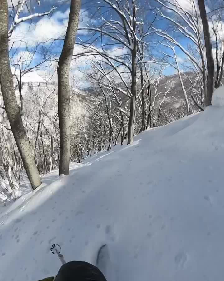 Carousel post from libtechski.