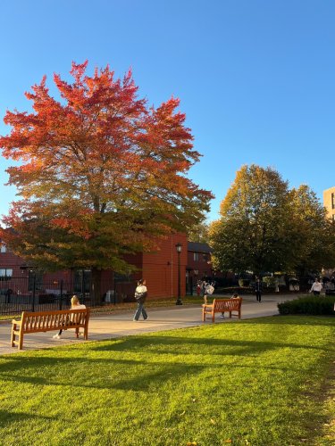 Photo post from bostoncollege.
