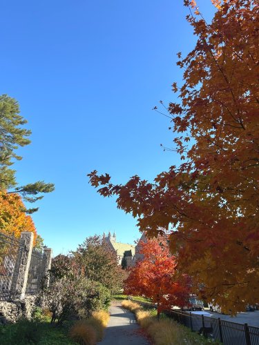 Photo post from bostoncollege.