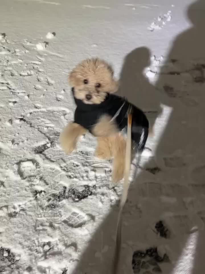 Carousel post from hurttakorea.