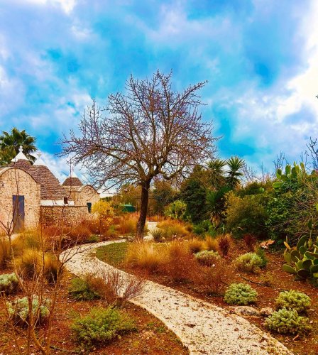 Carousel post from wildatheart_gardendesign.