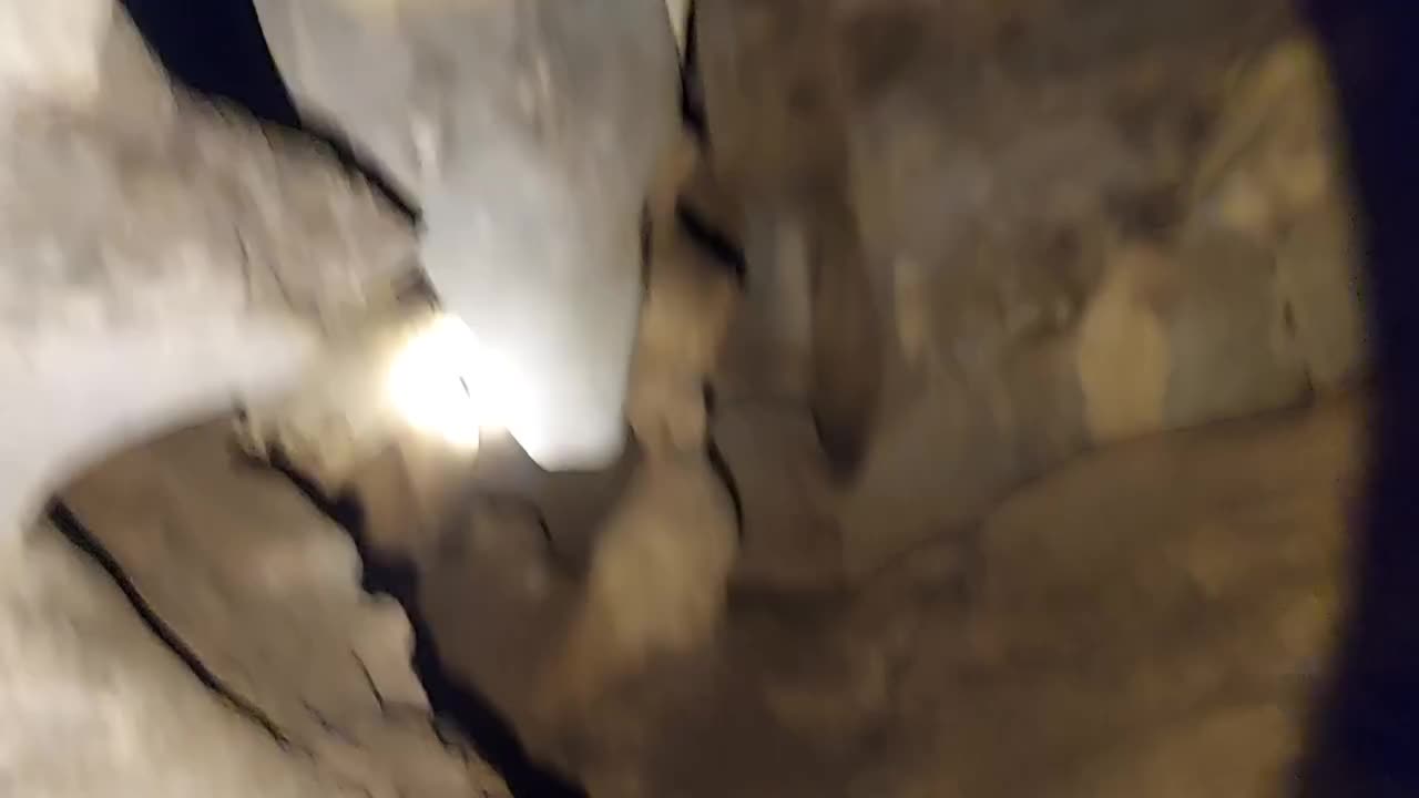 Video post from dc.artgallery.